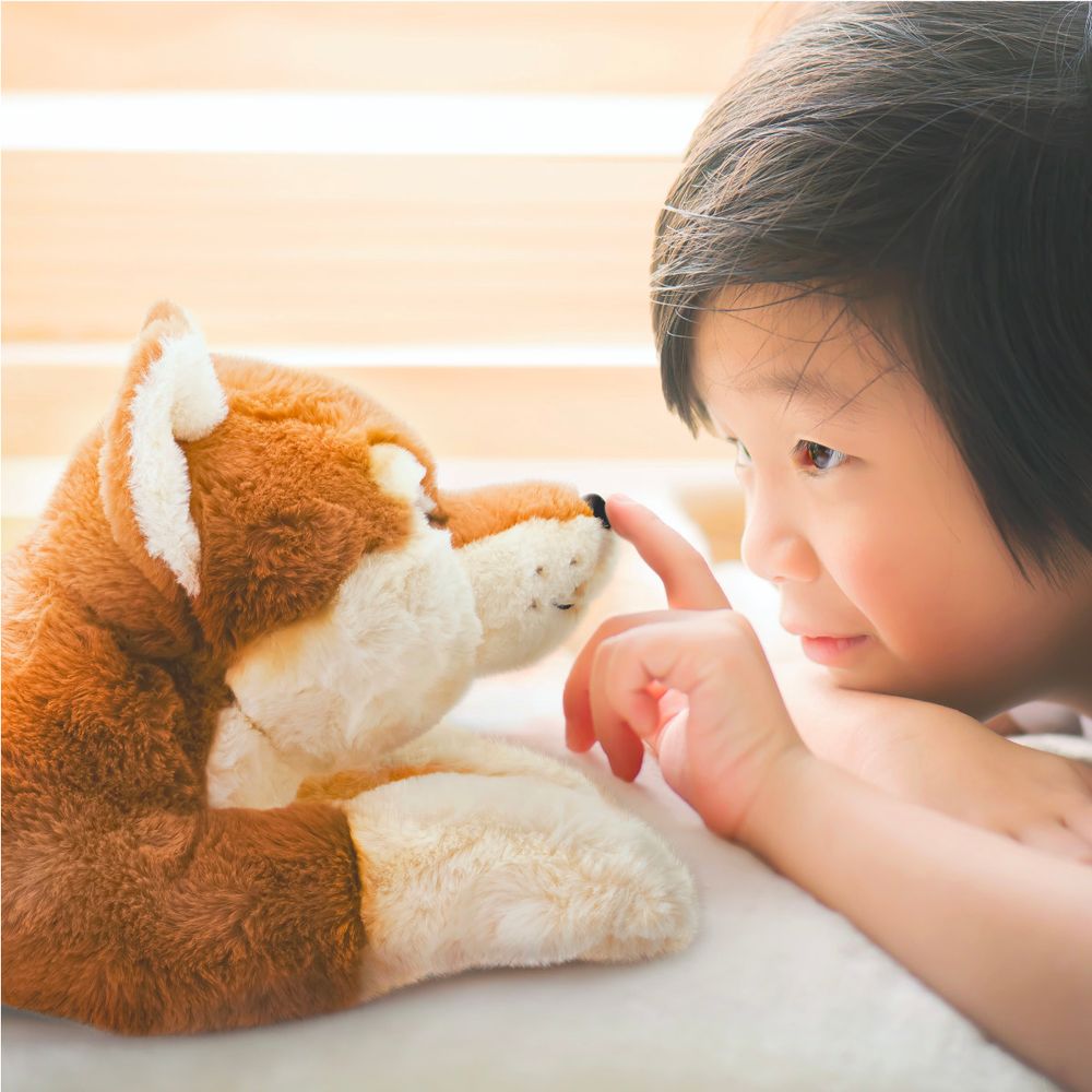 22” Adopt-A-Pets Shiba Inu Plush - FAO Schwarz