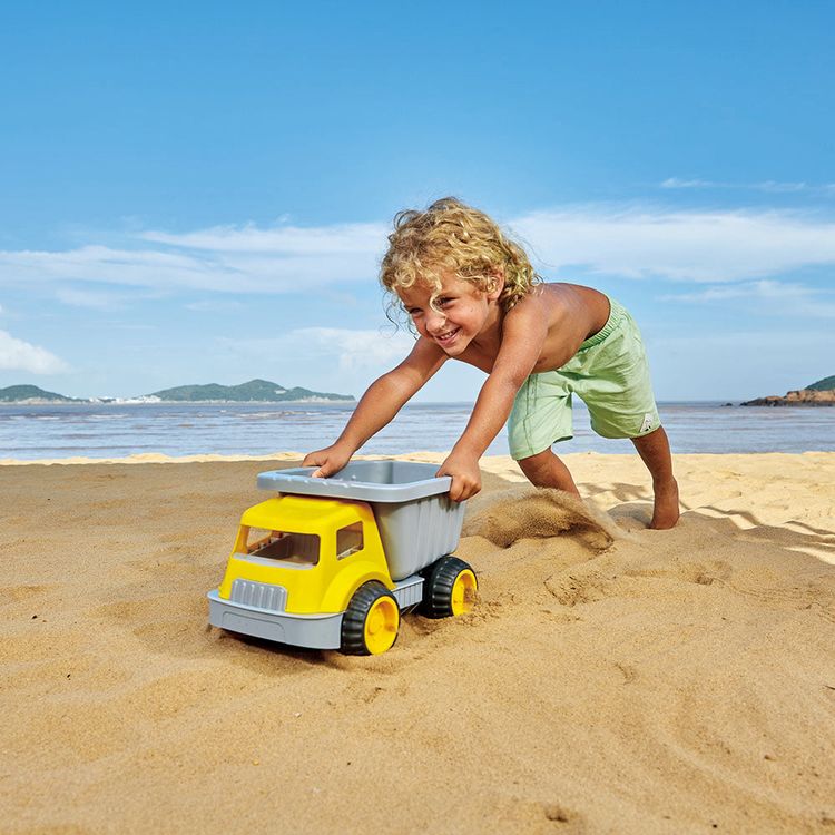 Load & Tote Dump Truck - FAO Schwarz