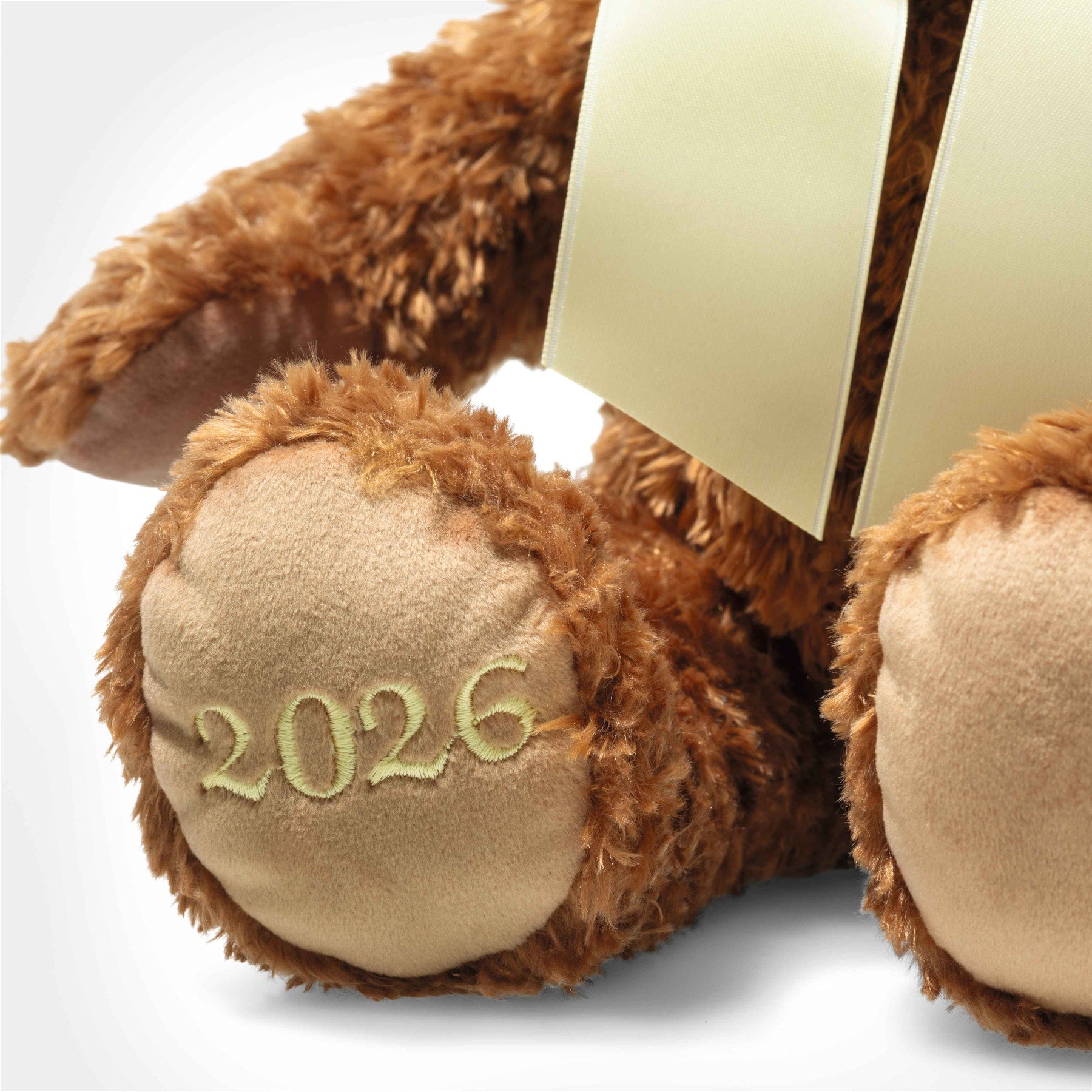 2026 Cozy Teddy Bear of the Year - FAO Schwarz