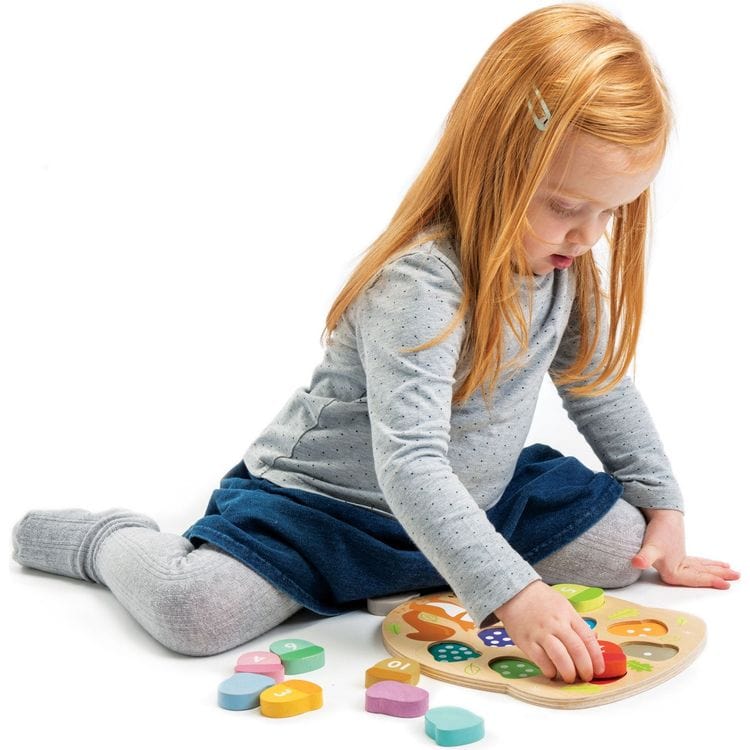 Bright Minds Math Collection of Wood Toys - FAO Schwarz