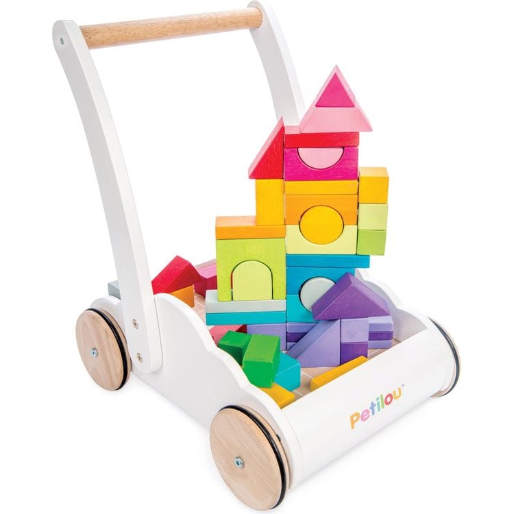 Rainbow Baby Walker & Puzzle – 45 Blocks - FAO Schwarz
