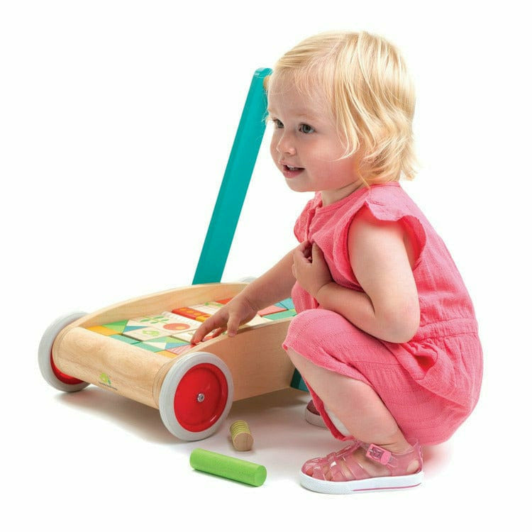 Baby Block Walker - FAO Schwarz