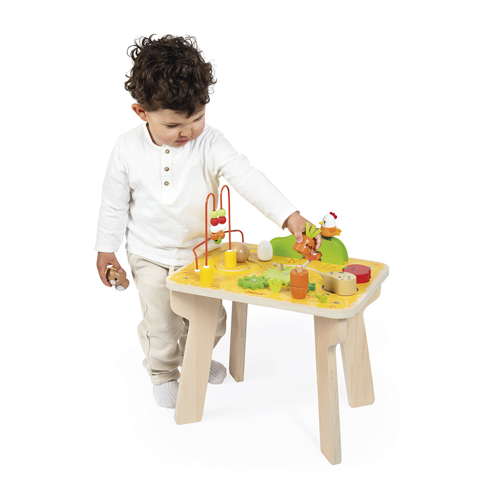 Farm Multi-Activity - FAO Schwarz