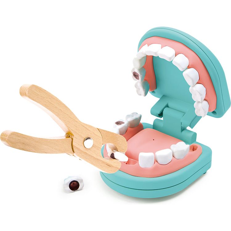 Super Smile Dental Clinic Set - FAO Schwarz