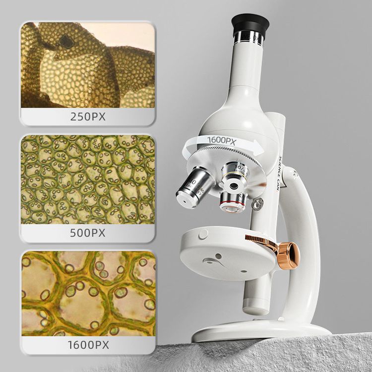 Microscope Lab Edition - FAO Schwarz