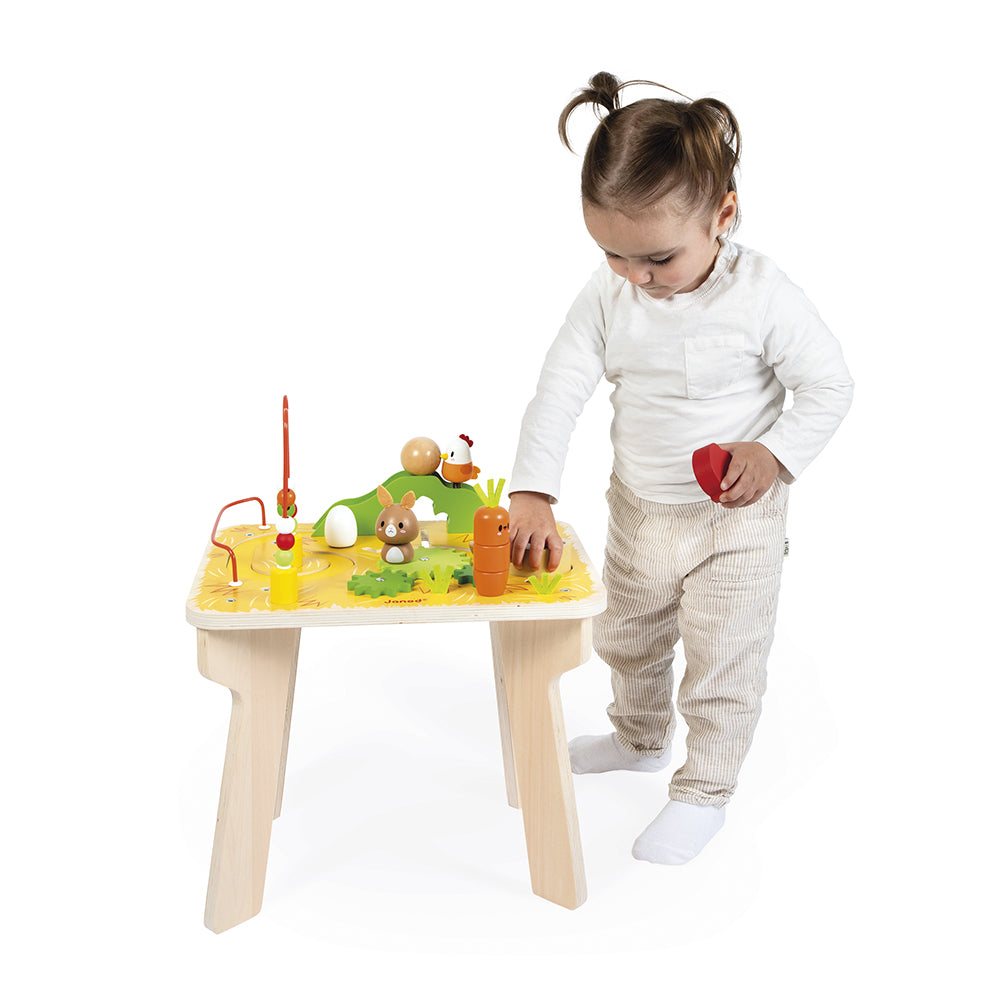 Farm Multi-Activity - FAO Schwarz