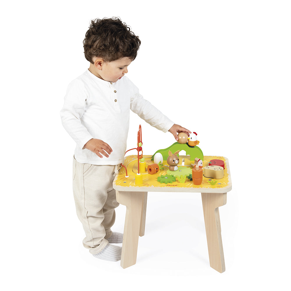 Farm Multi-Activity - FAO Schwarz