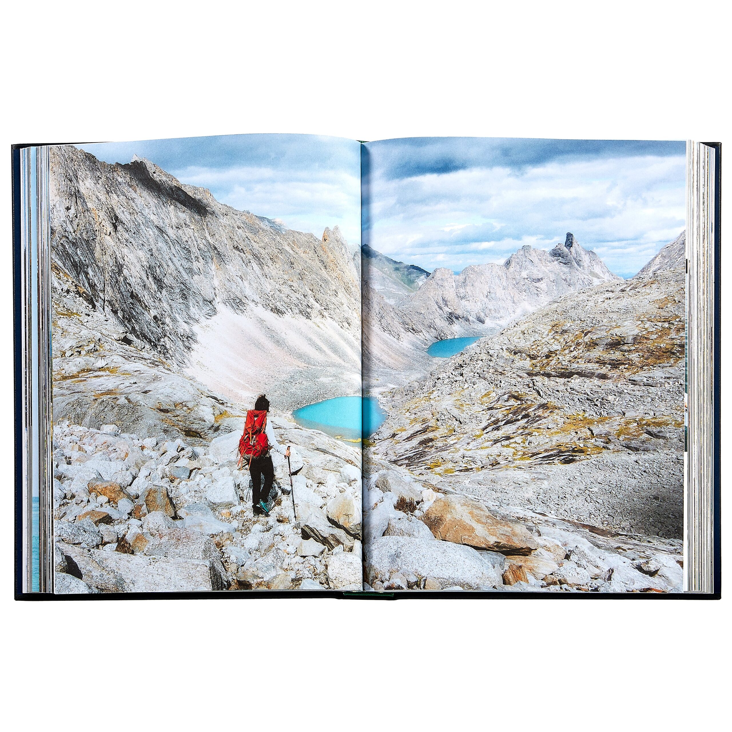 Roaming America Book Leather Edition - FAO Schwarz