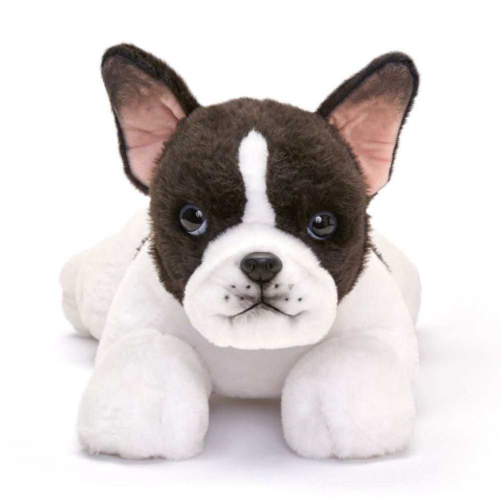 22” Adopt-A-Pets Frenchton Plush - FAO Schwarz