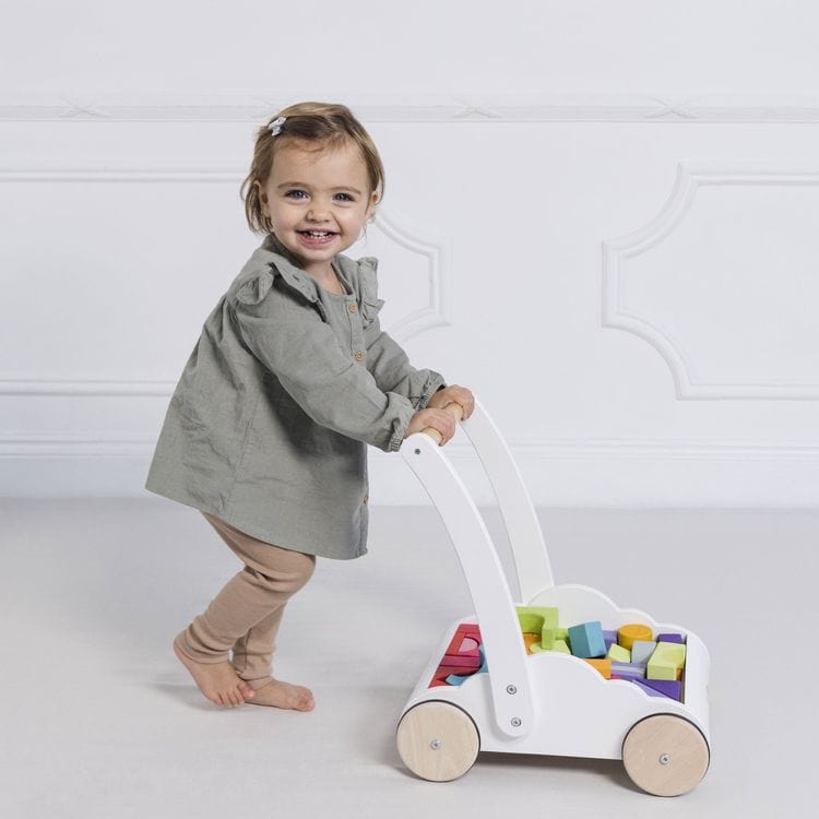 Rainbow Baby Walker & Puzzle – 45 Blocks - FAO Schwarz