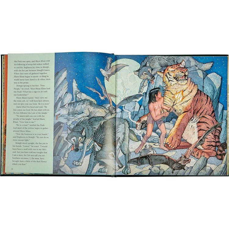“The Jungle Book” in Green Bonded Leather - FAO Schwarz