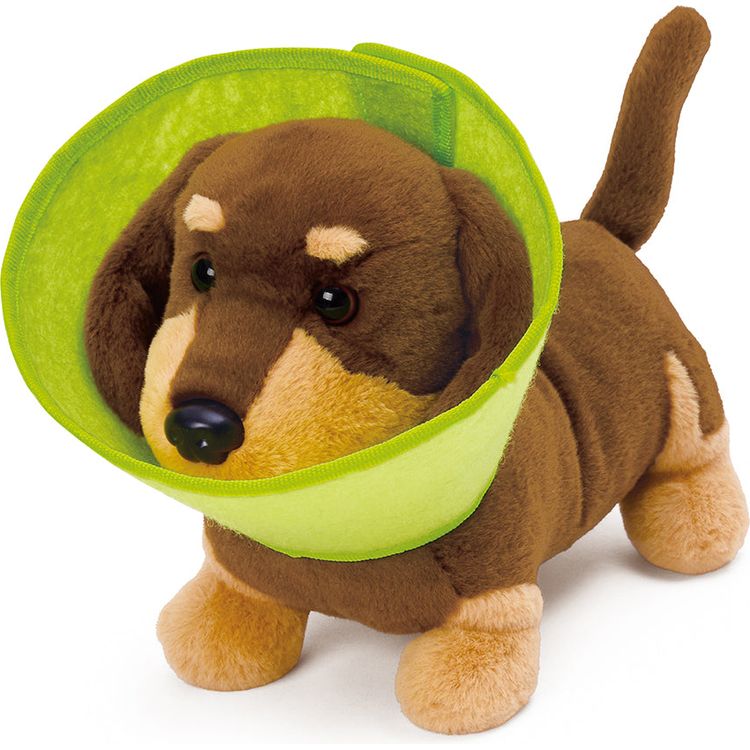 Puppy Clinic Veterinary Set - FAO Schwarz