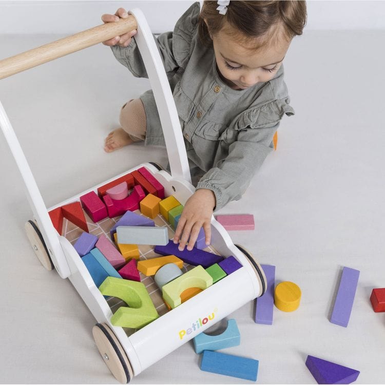 Rainbow Baby Walker & Puzzle – 45 Blocks - FAO Schwarz