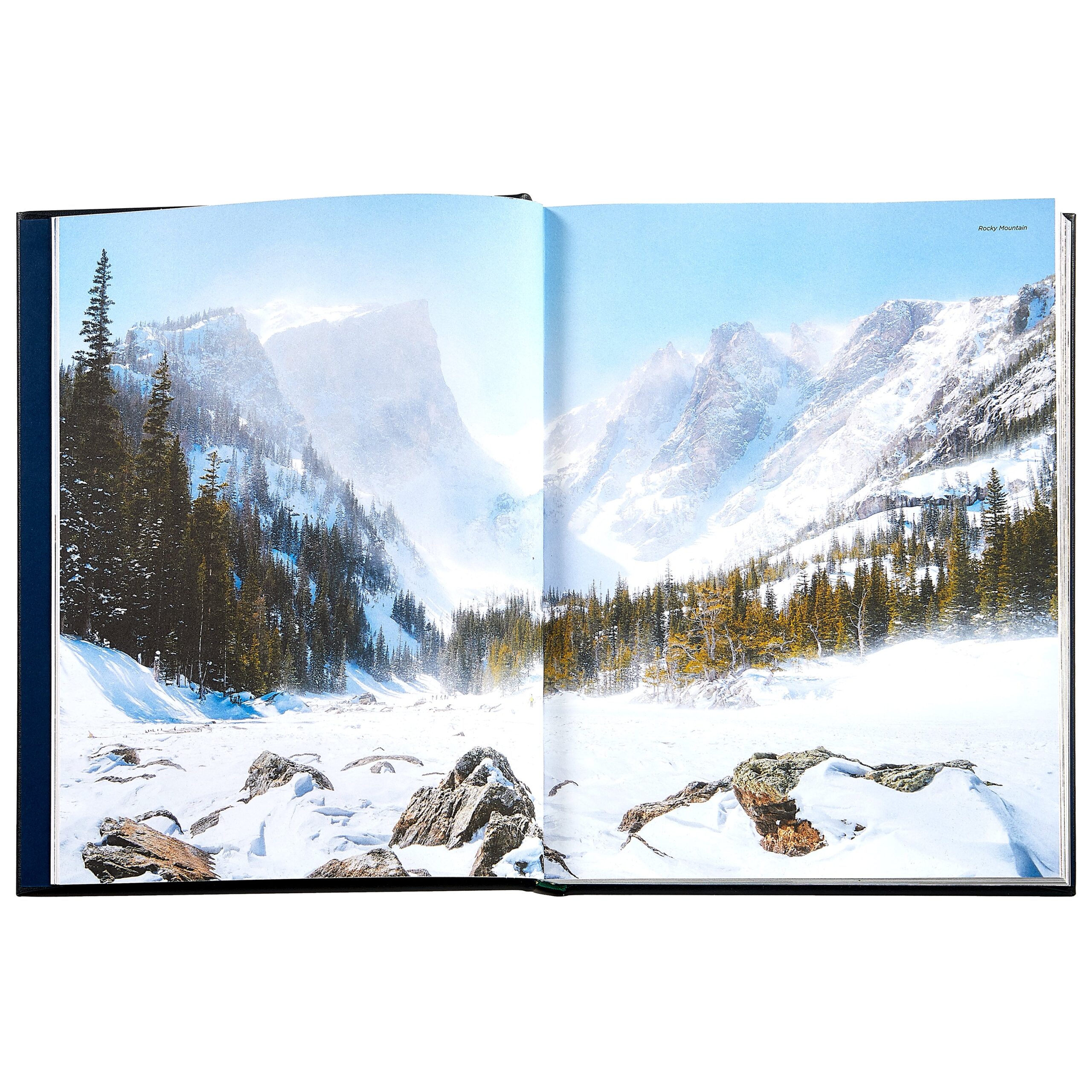 Roaming America Book Leather Edition - FAO Schwarz