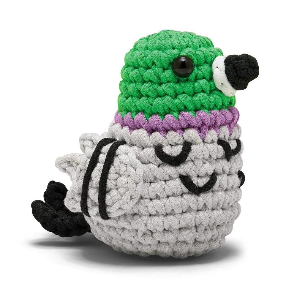 Martha the Pigeon Learn to Crochet Kit - FAO Schwarz