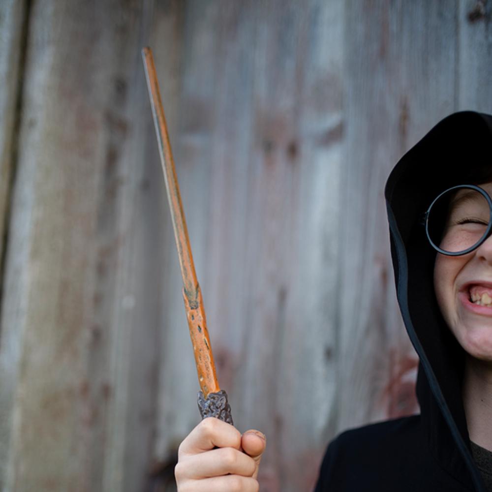 Wizard Wand - FAO Schwarz
