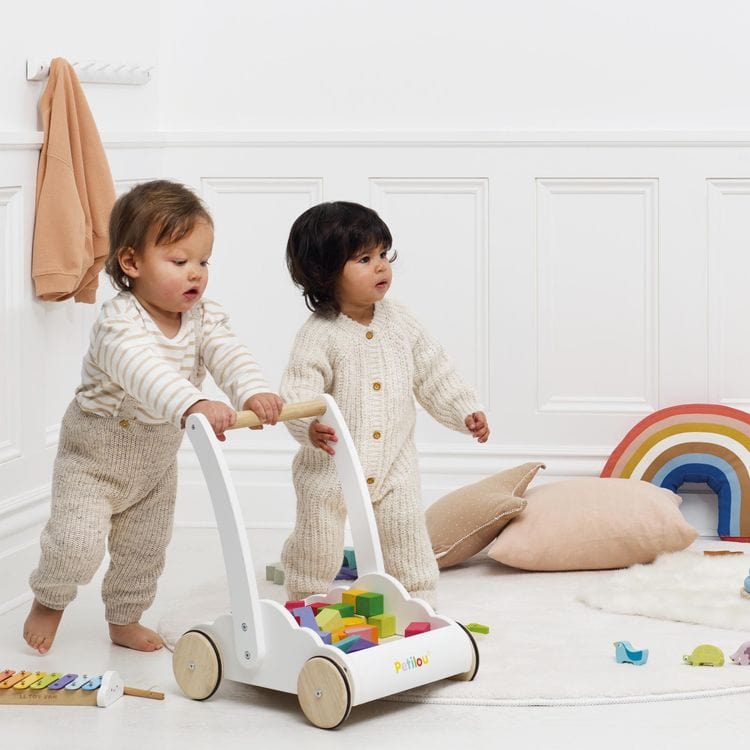 Rainbow Baby Walker & Puzzle – 45 Blocks - FAO Schwarz
