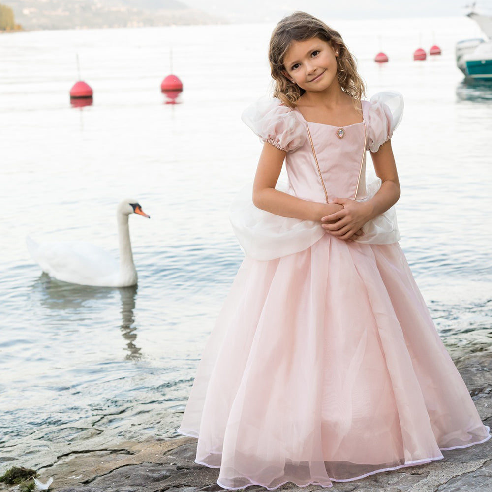 Antique Pink Princess Gown – Size 5-6 Years - FAO Schwarz
