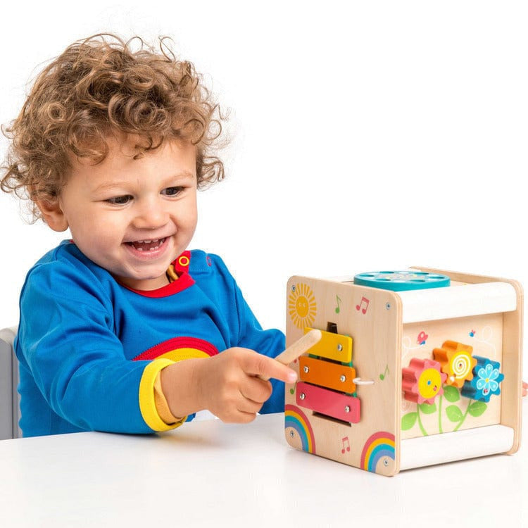 Petit Activity Cube - FAO Schwarz